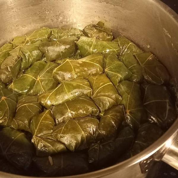 Chez Caro - Restaurant Meyzieu - Restaurant Arménien Décines